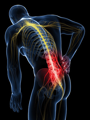 Medical Illustration